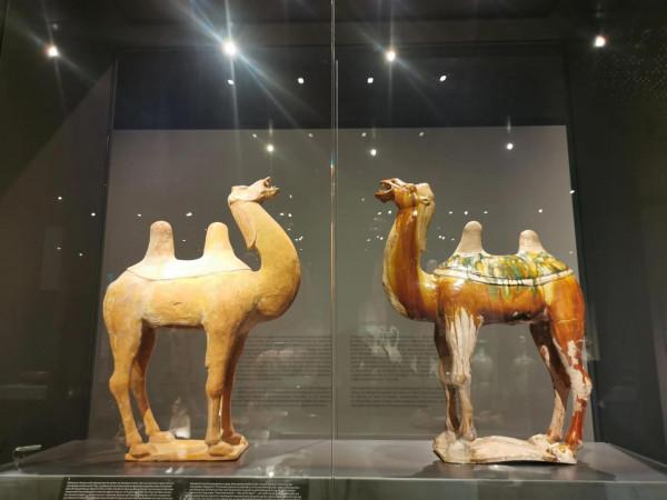 假裝懂藝術&mdash;&mdash;蒙特利爾美術館的一天