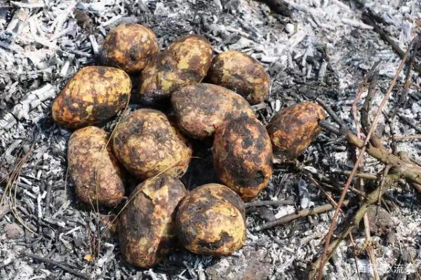 走，咱們“燒窯”去