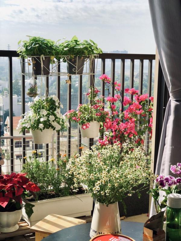 小哥挺有耐心，拒絕斷舍離30㎡塞滿書和手辦，像是誤入了一家書店