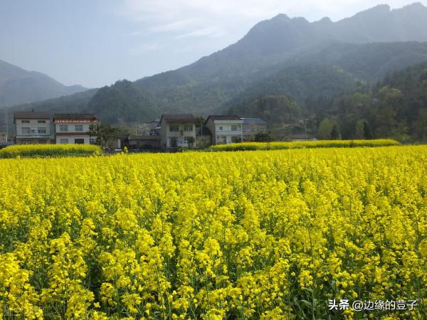 農村宅基地盤活，老宅閒宅“統一”處理！這3種超面積可登記確權