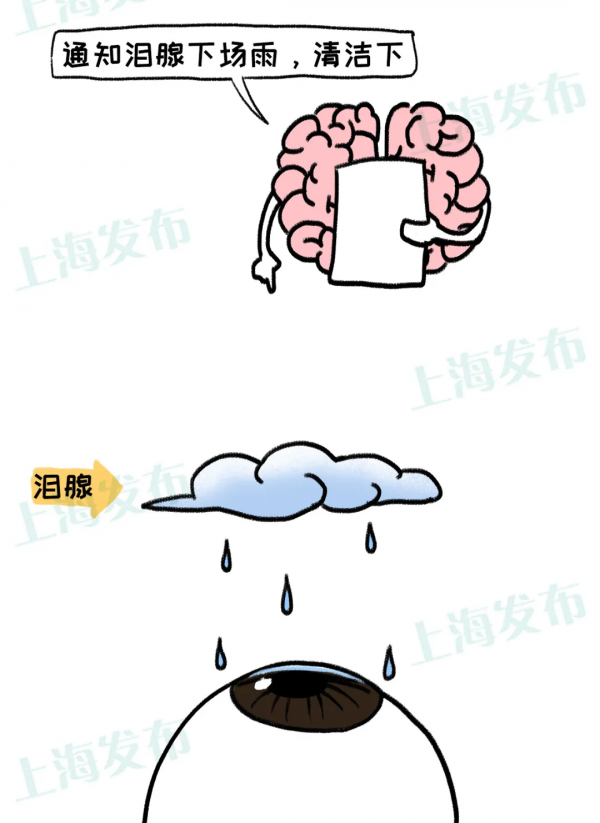 眼睛星球守護著你的安全感,癢/幹/畏光/敏感怎麼辦? 眼睛星球守護著你的安全感,癢/幹/畏光/敏感怎麼辦?