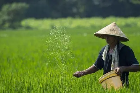 抗美援朝反轉事件，新兵犯錯，連長要關禁閉團長竟要記功，他是誰