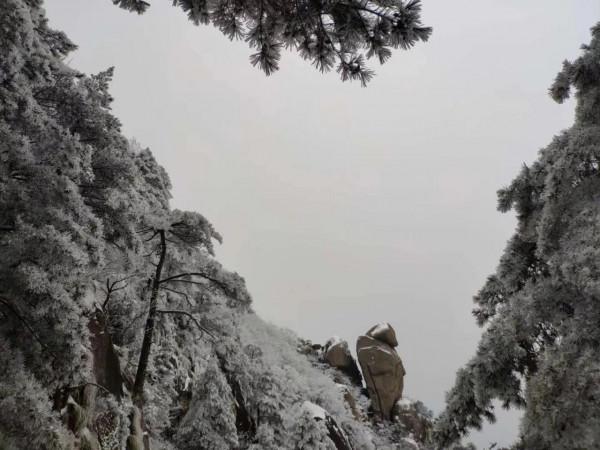 2018九華雪後之旅