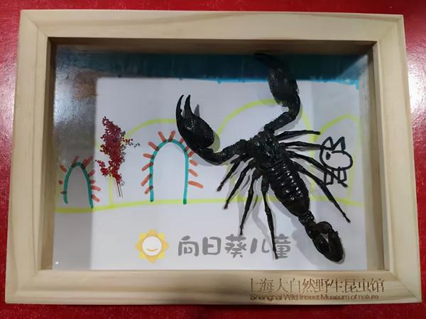 “磨人的小妖精”讓7歲淋巴瘤男孩每天服藥 “磨人的小妖精”讓7歲淋巴瘤男孩每天服藥