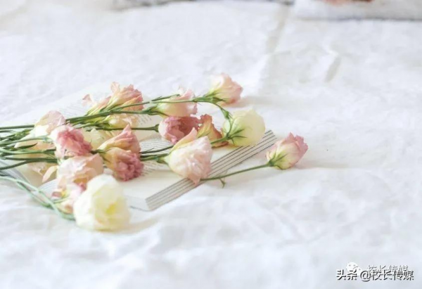 康紅舒:教育要滋養孩子的美好人性 康紅舒:教育要滋養孩子的美好人性