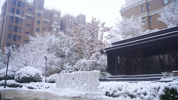 海馬人的朋友圈美爆了！戳進來，看看雪後海馬有多美