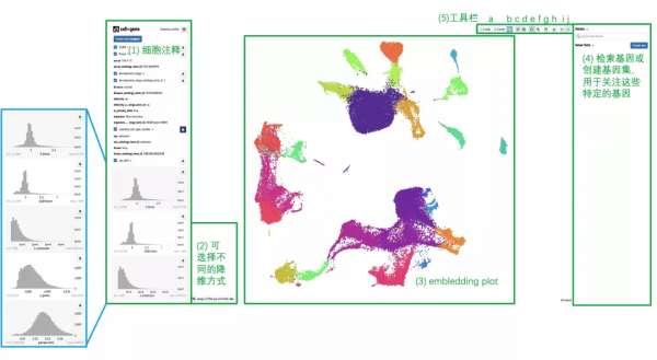 免費用！不會生信也能用的單細胞分析工具