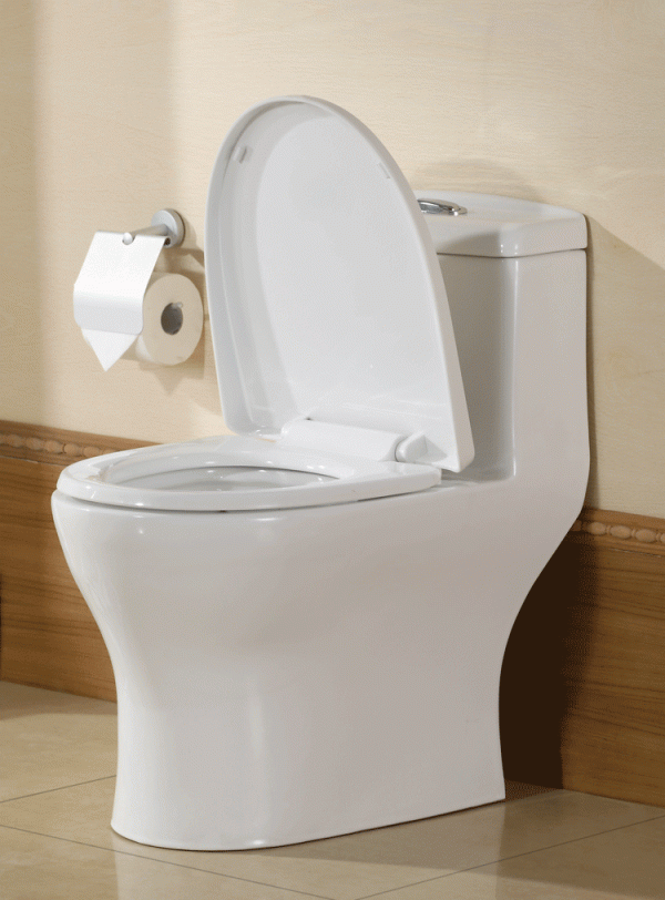 若再買房，衛生間一定要&OpenCurlyDoubleQuote;8不裝&rdquo;，不是唬人，而是過來人的經驗