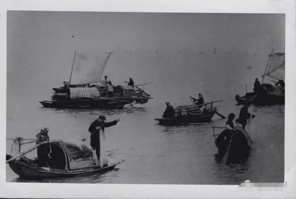陸橋烏龜肉——江陰美食