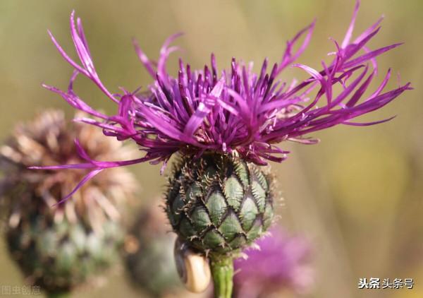 一個“熊孩子”與“熊家長”的故事