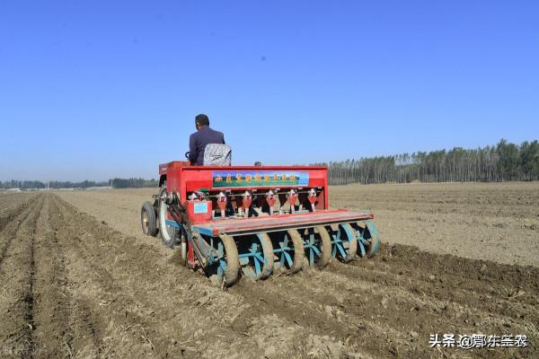 化肥漲價了，今年小麥播種，每畝需要多少投資？