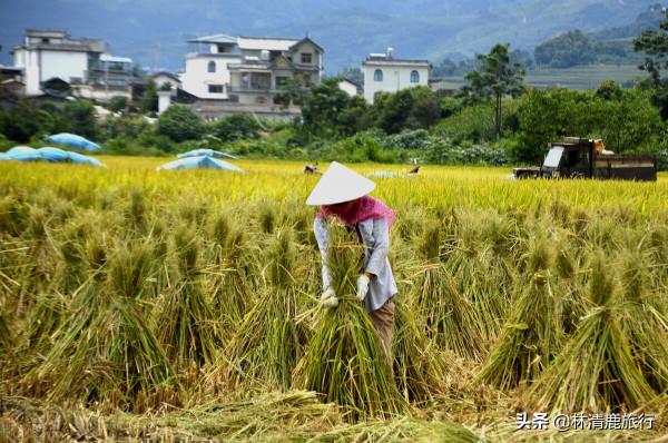 雲南這座小縣城,溫泉用來煮雞蛋,房價便宜,氣候出色適合養老 雲南這座小縣城,溫泉用來煮雞蛋,房價便宜,氣候出色適合養老