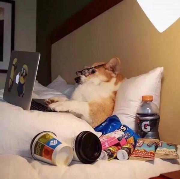 你在賺錢別人在“搶錢”，實體生意難做的“鍋”，電商該不該背？