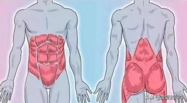 收藏！核心肌群的9個鍛鍊動作，動圖指導