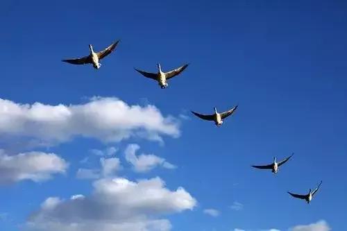 排斥微信支付預示西方落伍