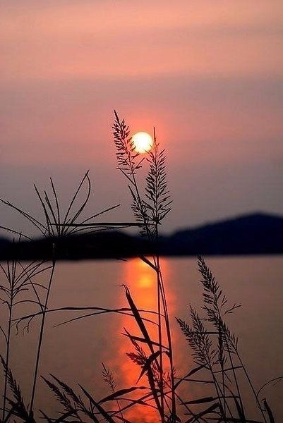 《在樹林裡》有些事帶有年輕的屬性，別給自己留下遺憾