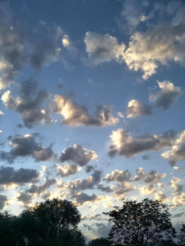 2021年，一個難忘而羞恥的一天