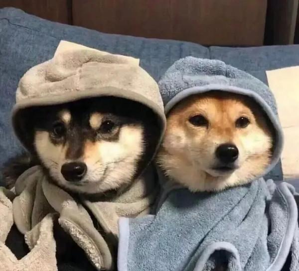 單身人士的“治癒禮包”文案 :沒人牽手手，那咱揣兜兜