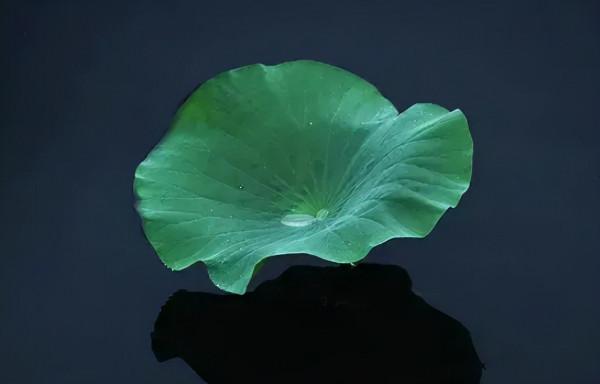 真正能讓你走遠的,都是自律、積極和勤奮 真正能讓你走遠的,都是自律、積極和勤奮