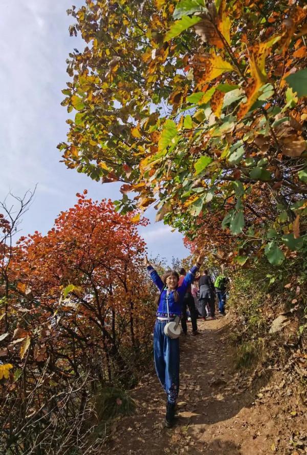 週末近郊遊秦嶺圭峰山之一