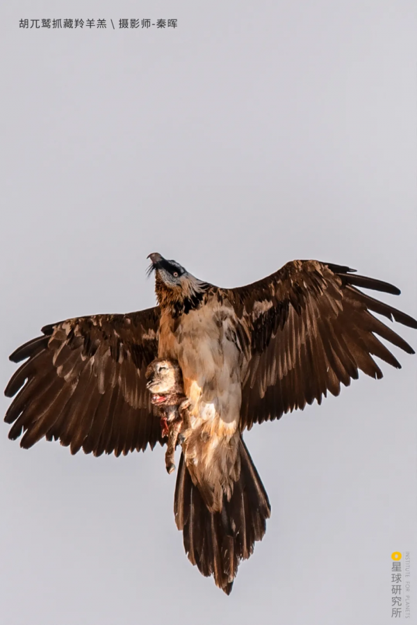出發!穿越中國最長國道219 出發!穿越中國最長國道219