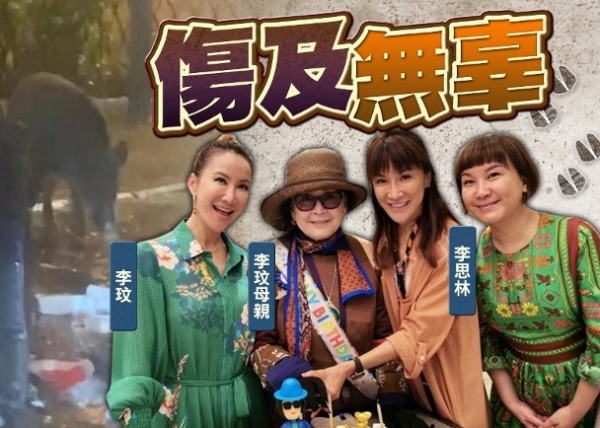 李玟83歲母親遭野豬襲擊,胳膊盆骨被撞碎,已躺病床一週未康復 李玟83歲母親遭野豬襲擊,胳膊盆骨被撞碎,已躺病床一週未康復