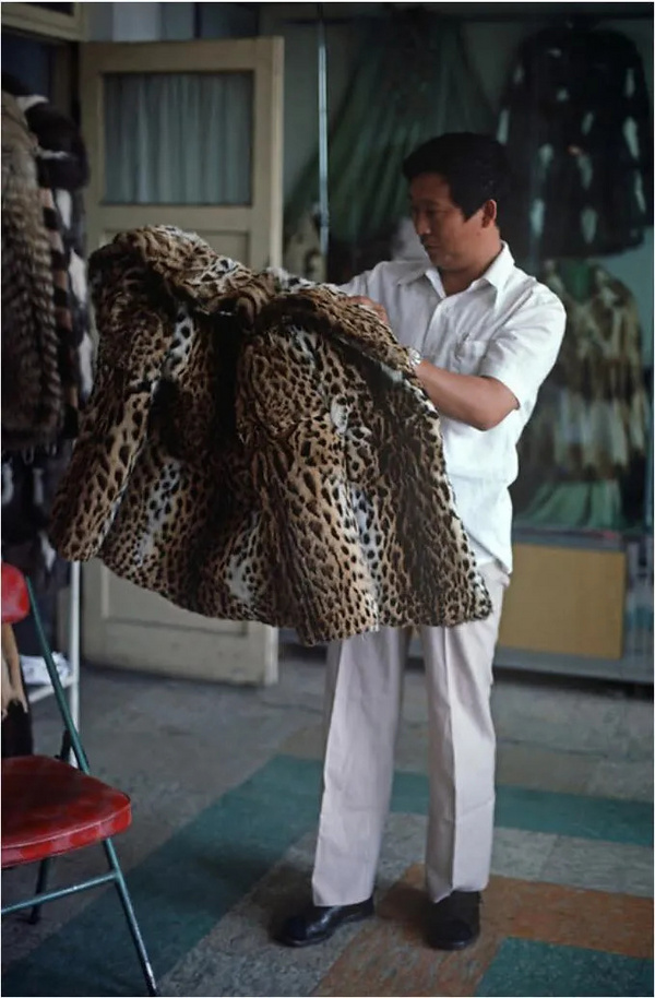 滿滿的感動，每一張老照片都是故事，美好的八十年代