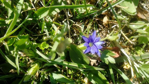 細品論語——學而(第一章) 細品論語——學而(第一章)