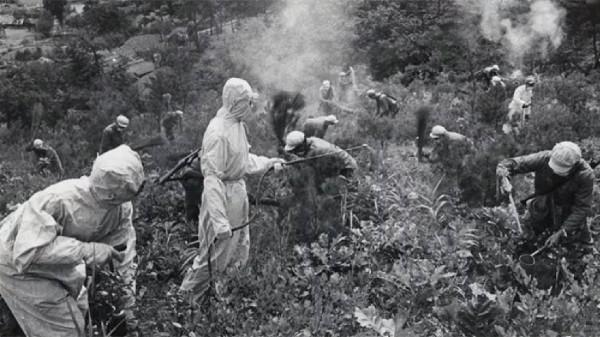 1952年,志願軍67軍軍長突然離世,彭德懷緊急下令:全面封鎖訊息 1952年,志願軍67軍軍長突然離世,彭德懷緊急下令:全面封鎖訊息