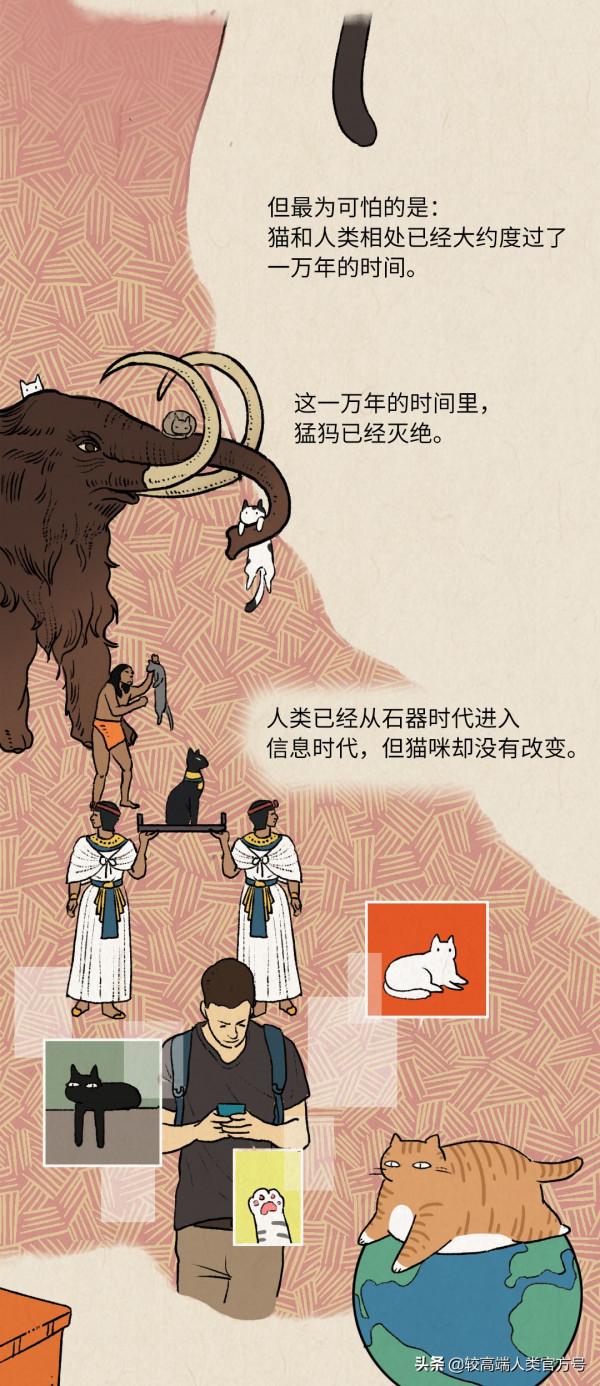 貓對人沒什麼感情，跟著你就是為了混飯吃