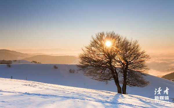 貧窮不僅會限制你的想象力,還會影響你對人生的判斷力 貧窮不僅會限制你的想象力,還會影響你對人生的判斷力