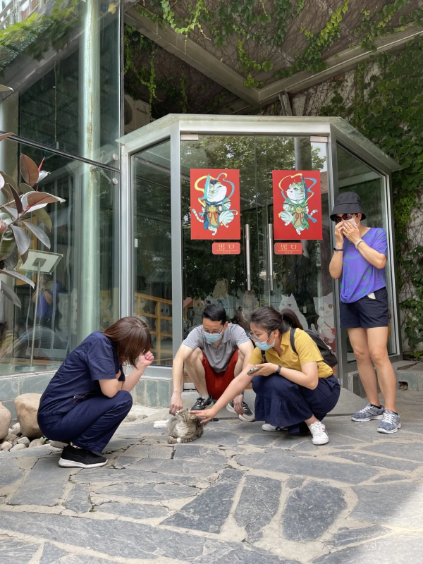 小廢貓要鹹魚翻身了咩? 小廢貓要鹹魚翻身了咩?