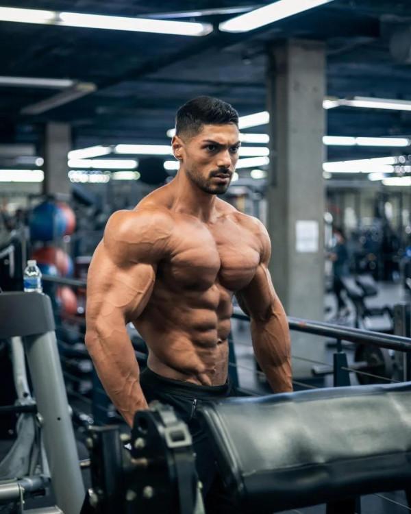 健身分化訓練,到底是三分化好還是五分化好?其本質與原理要明白 健身分化訓練,到底是三分化好還是五分化好?其本質與原理要明白