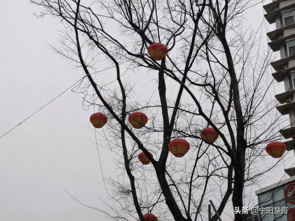 回寧陽：還是那座小城，還是那些街道，看起來清冷了些