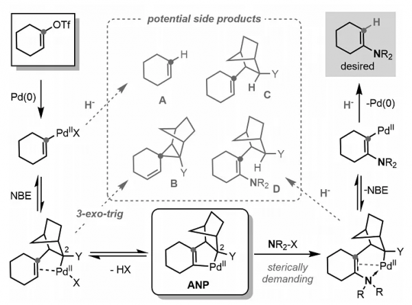 董廣彬課題組Science：如何輕鬆實現1,2-羰基遷移？