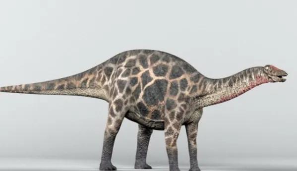 叉背龍:體長20米的超巨型恐龍,非洲草原上的超大恐龍 叉背龍:體長20米的超巨型恐龍,非洲草原上的超大恐龍