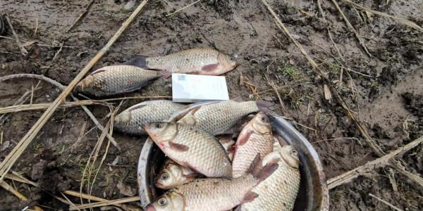 冬季釣魚，選點最重要，其次是拋竿技術，兼談調漂