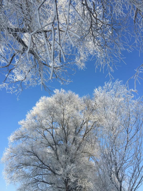 《12月限定丨國內旅行目的地指南》