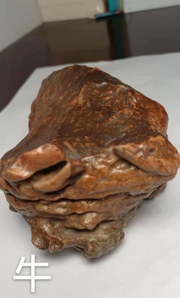 大自然的鬼斧神工，天造奇術，我們無法想象如此模樣，十二屬相