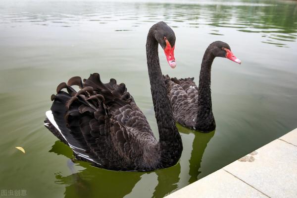 2021容易崛起的行業 2021容易崛起的行業