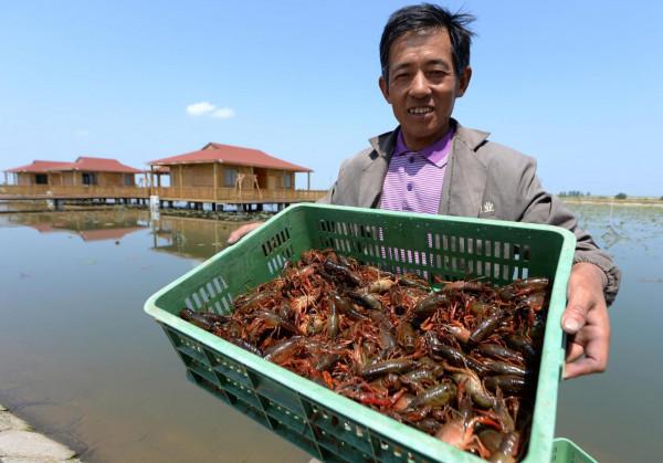 辭職回家養龍蝦,三年後狼狽退場,依然選擇南下去打工 辭職回家養龍蝦,三年後狼狽退場,依然選擇南下去打工