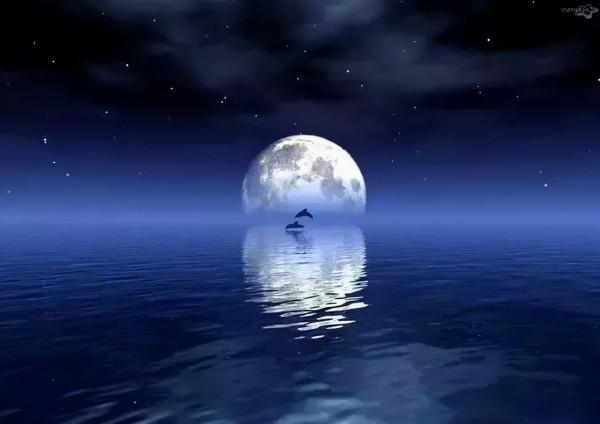 辛丑詠中秋詩詞五首