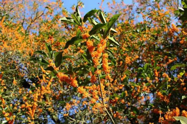 學會10點，你就能克服恐懼