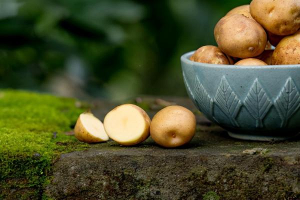 冬季養生，堅持吃“3果3菜3肉”，或許可以開胃健脾、補血補腎