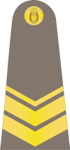 阿根廷警銜標識