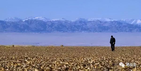 等疫情結束後，我們去撿石頭吧