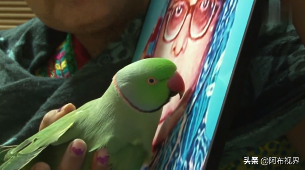 妻子在家中遇害，警察全力調查一無所獲，最後竟是一隻鸚鵡破了案