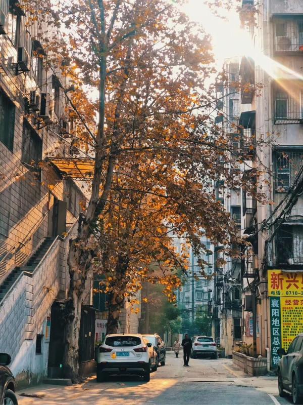 我勸你!千萬不要來襄陽上大學 我勸你!千萬不要來襄陽上大學