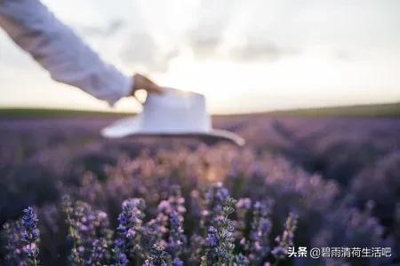 周姐的無悔人生 周姐的無悔人生