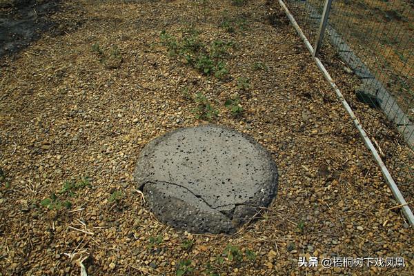 中國黑龍江發現一墓，內有10餘具人骨，韓國人上心日本人關注